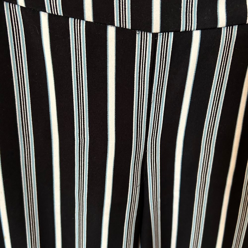 Ann Taylor Pants